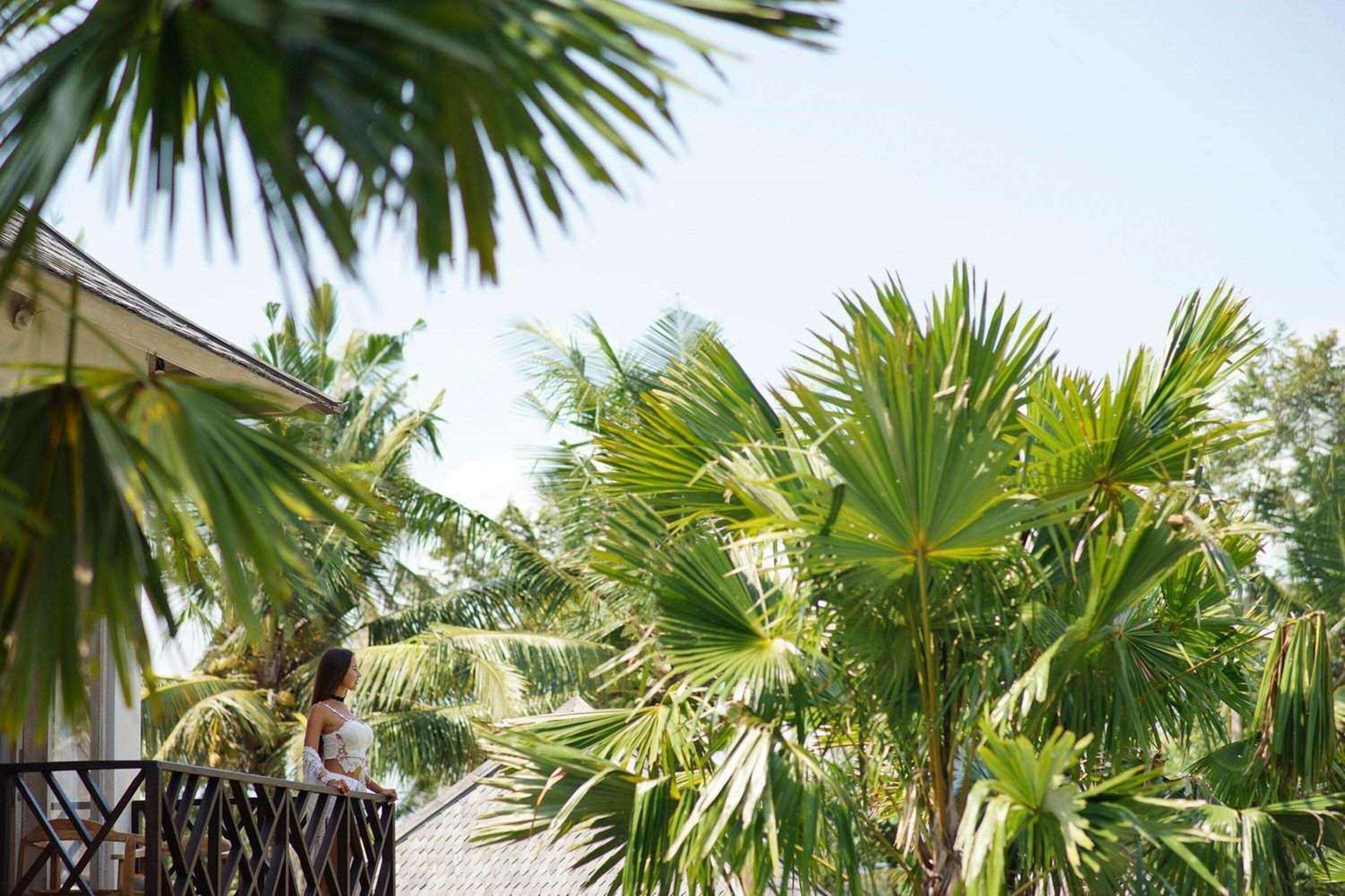 Arkamara Dijiwa Ubud المظهر الخارجي الصورة
